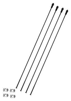 Lot de 4 rayons arrière droit Campagnolo shamal carbone