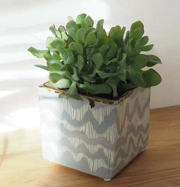 Pot en céramique carré bleu et blanc